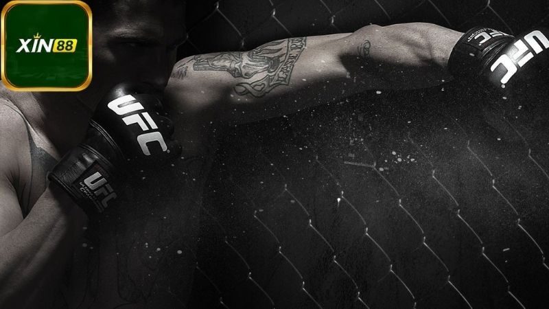 Giới thiệu về Cá cược MMA Xin88
