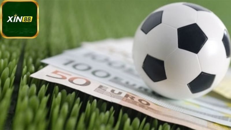 Các tính năng nổi bật của Cá cược thể thao Xin88