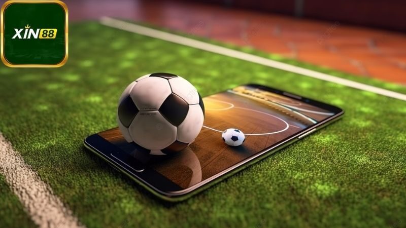 Lưu ý quan trọng và mẹo hay khi tham gia