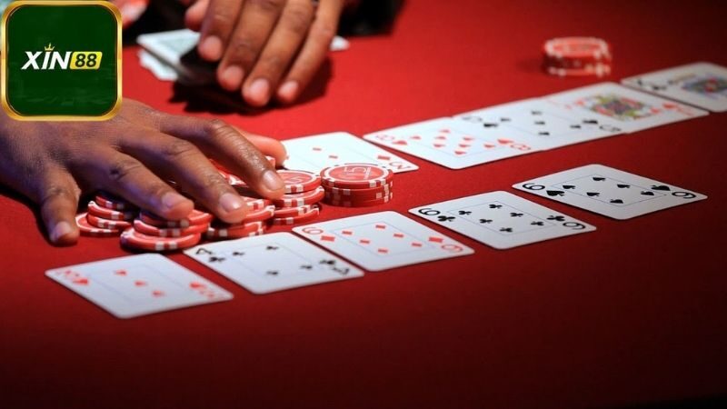 Các lựa chọn tốt nhất cho Pai Gow Xin88