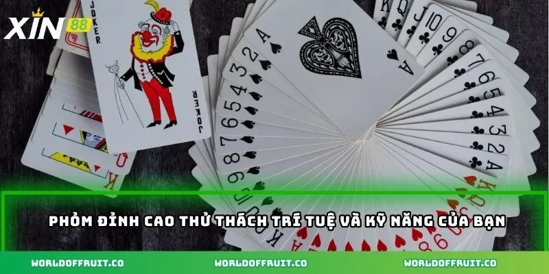 Phỏm đỉnh cao thử thách trí tuệ và kỹ năng của bạn