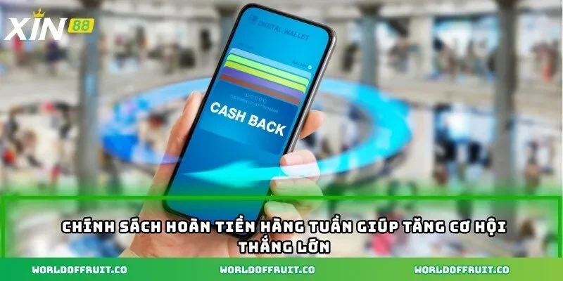 Xin88 – Sân Chơi Đá Gà Đỉnh Cao Nơi Bạn Thỏa Mãn Đam Mê 18 Chính sách hoàn tiền hàng tuần giúp tăng cơ hội thắng lớn